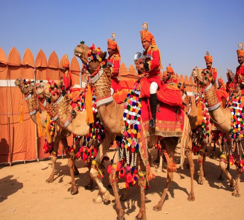 Desert Festival