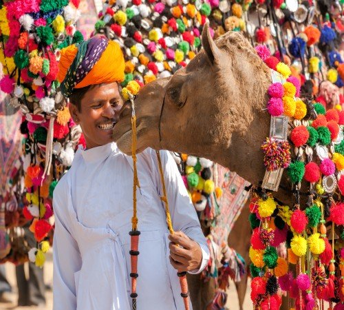 Camel Fair