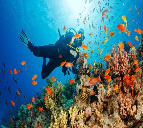 Scuba diving