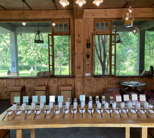 Wah Tea Lodge