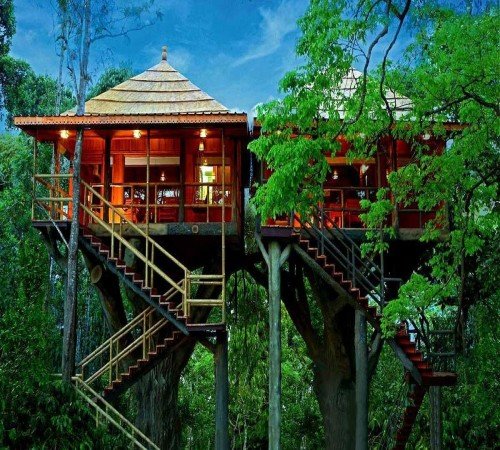 tree house