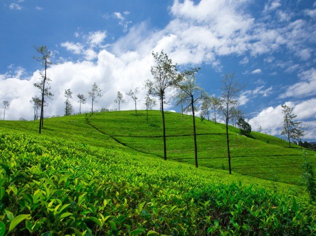 Munnar