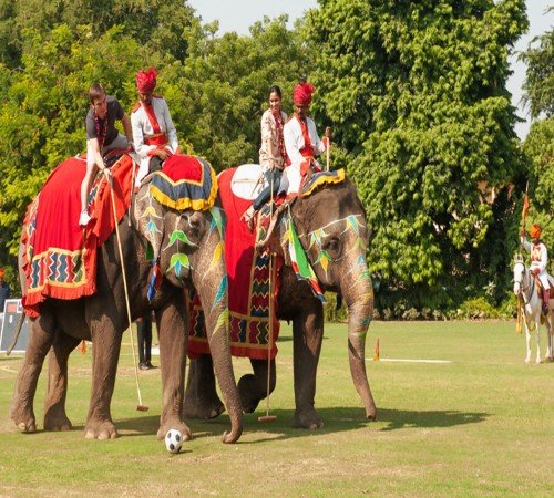 Polo Match