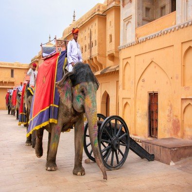 Amber fort