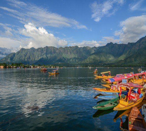 Kashmir