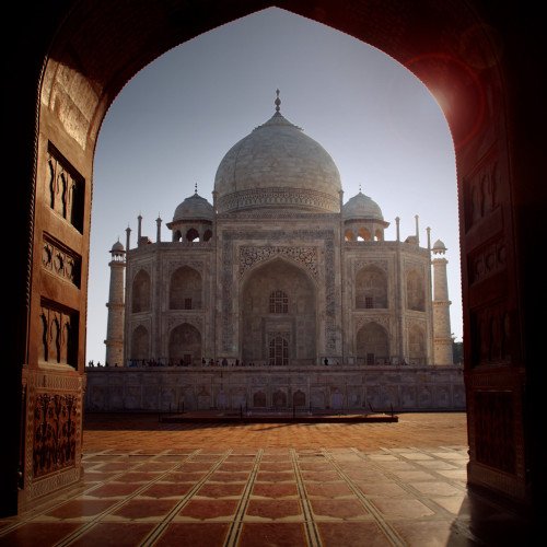 taj temple tiger