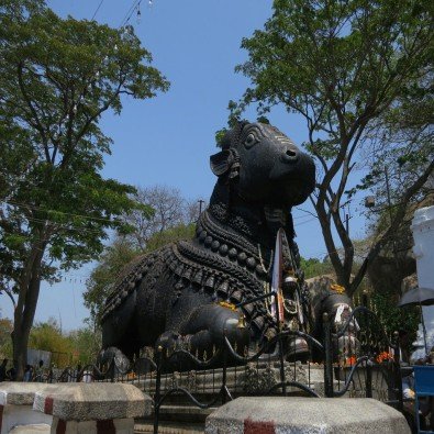 Bull temple
