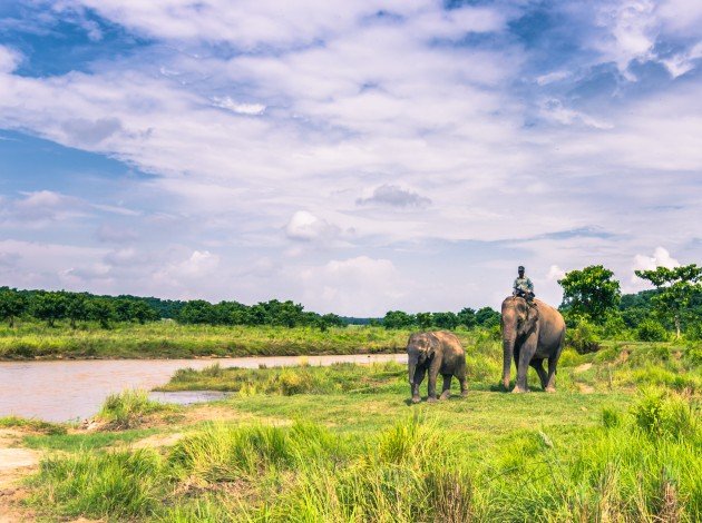 Chitwan National Park