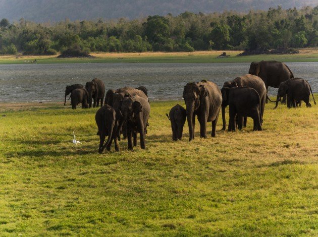 Periyar National Park