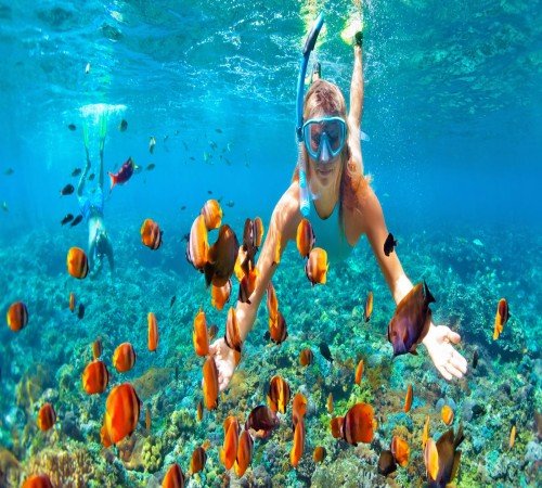 diving snorkeling