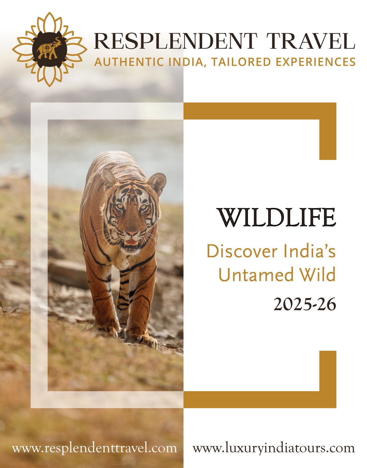 Wildlife Brochure